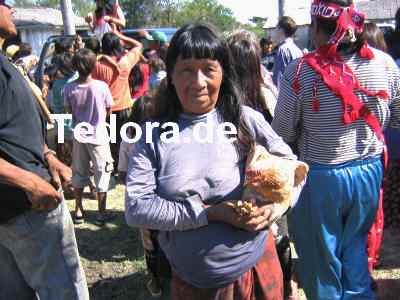 tedora